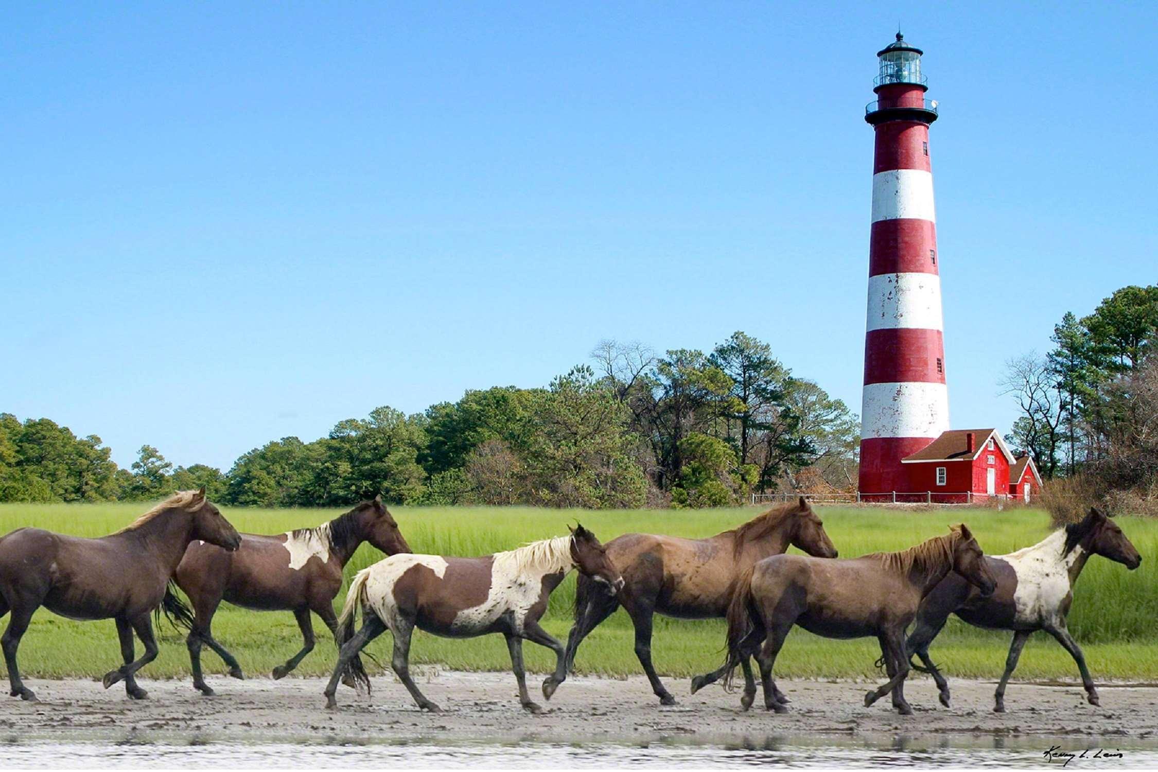 Hampton Inn & Suites Chincoteague-Waterfront, Va Luaran gambar